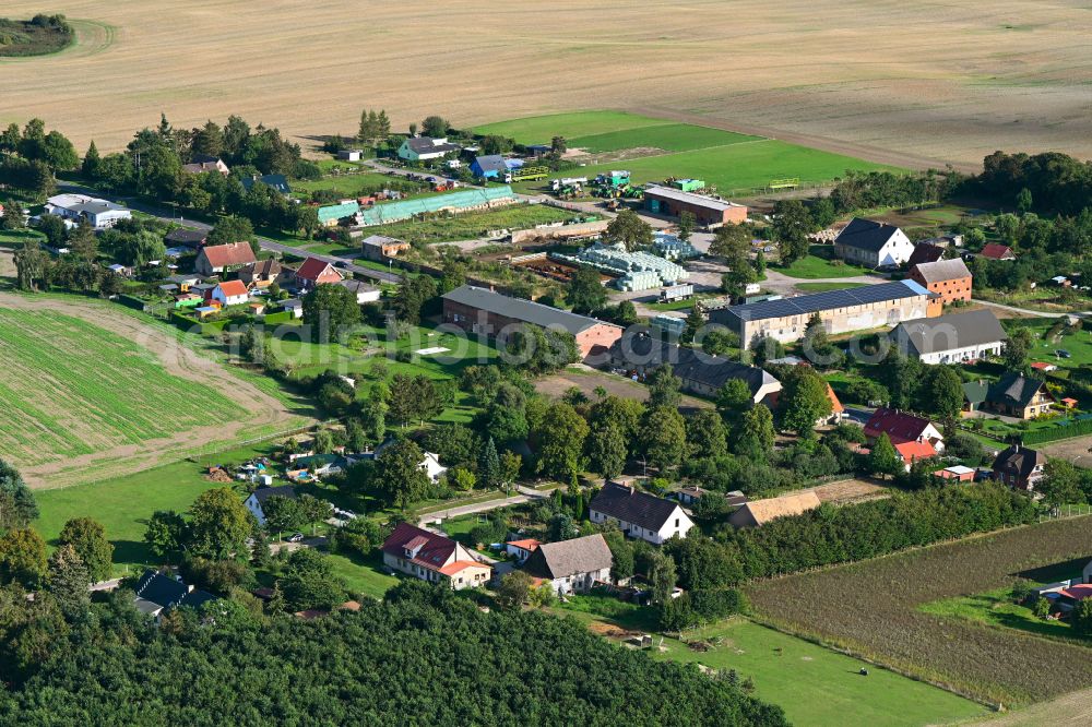 Wilhelmshof from the bird's eye view: Agricultural land and field boundaries surround the settlement area of the village in Wilhelmshof Uckermark in the state Brandenburg, Germany