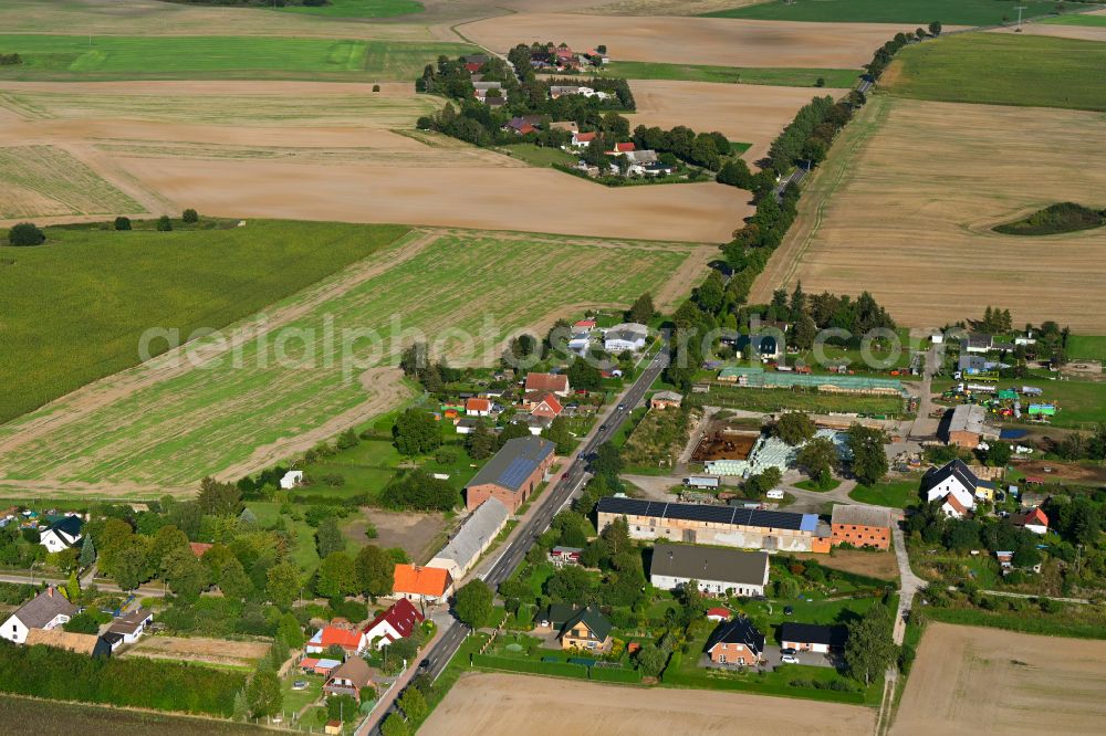 Aerial photograph Wilhelmshof - Agricultural land and field boundaries surround the settlement area of the village in Wilhelmshof Uckermark in the state Brandenburg, Germany