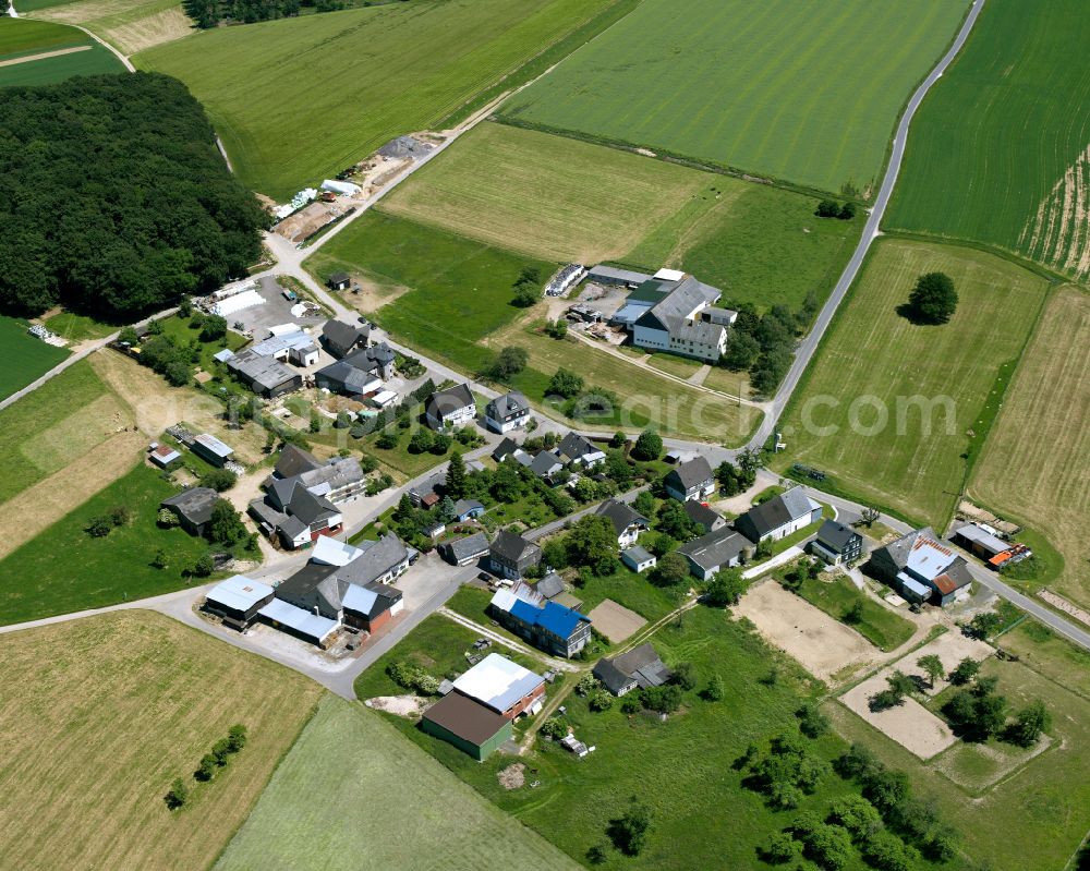 Wimmersbacherhof from above - Agricultural land and field boundaries surround the settlement area of the village in Wimmersbacherhof in the state Rhineland-Palatinate, Germany