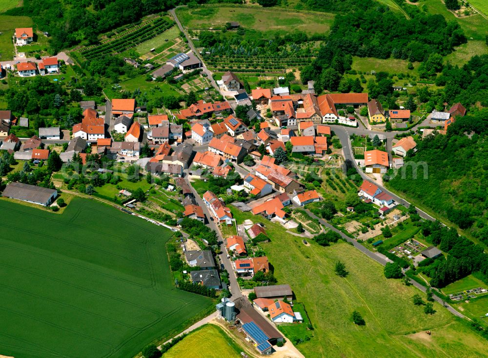 Aerial photograph Winterborn - Agricultural land and field boundaries surround the settlement area of the village in Winterborn in the state Rhineland-Palatinate, Germany