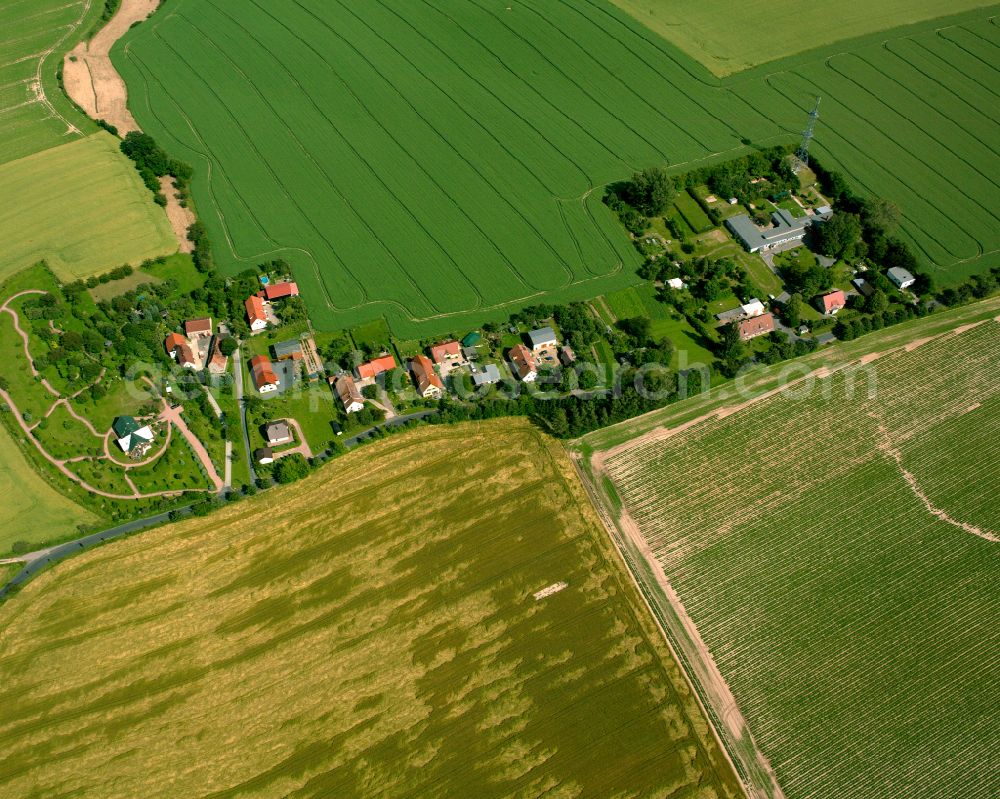 Aerial image Wistauda - Agricultural land and field boundaries surround the settlement area of the village in Wistauda in the state Saxony, Germany