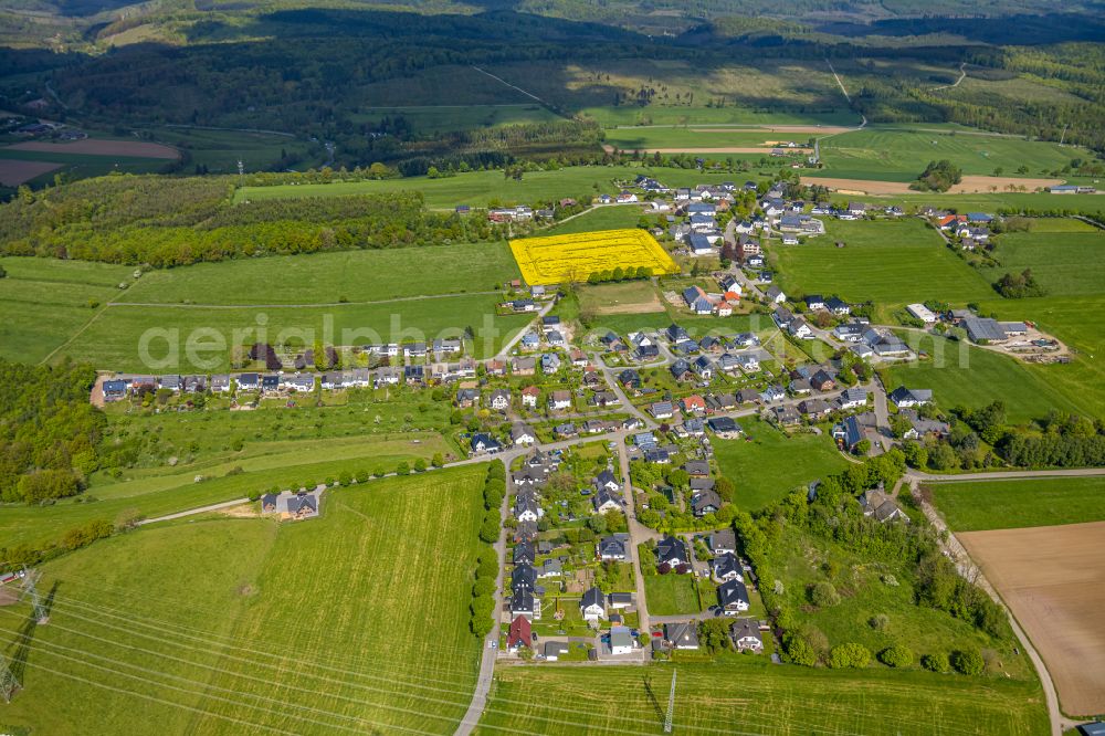 Wülfte from the bird's eye view: Agricultural land and field boundaries surround the settlement area of the village on street Wuelfter Strasse in Wuelfte in the state North Rhine-Westphalia, Germany