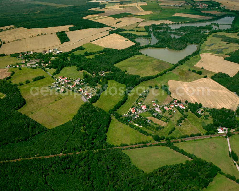 Aerial photograph Wülknitz - Agricultural land and field boundaries surround the settlement area of the village in Wülknitz in the state Saxony, Germany