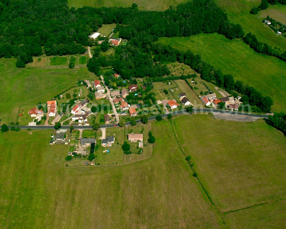 Wülknitz from above - Agricultural land and field boundaries surround the settlement area of the village in Wülknitz in the state Saxony, Germany