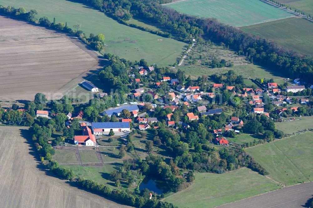 Aerial image Wülperode - Agricultural land and field boundaries surround the settlement area of the village in Wuelperode in the state Saxony-Anhalt, Germany