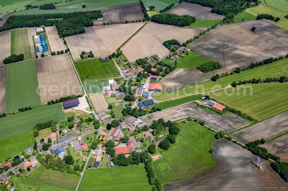 Aerial photograph Wohlerst - Agricultural land and field boundaries surround the settlement area of the village in Wohlerst in the state Lower Saxony, Germany