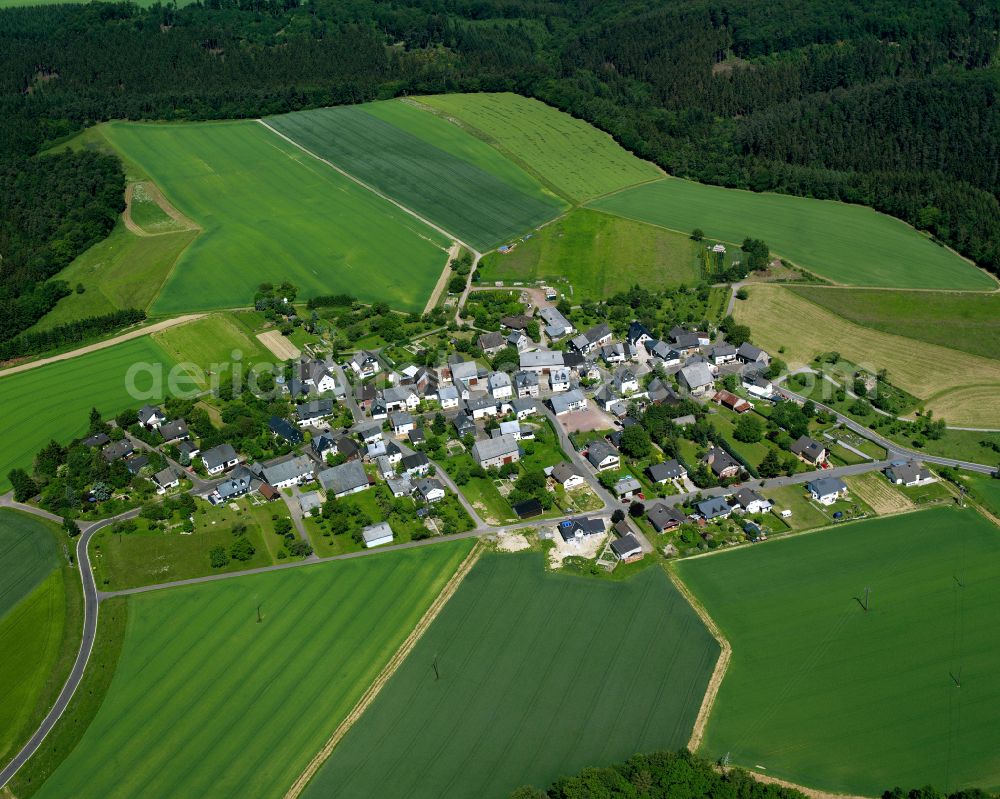 Wohnroth from the bird's eye view: Agricultural land and field boundaries surround the settlement area of the village in Wohnroth in the state Rhineland-Palatinate, Germany