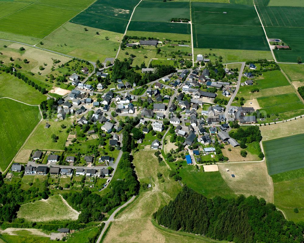 Womrath from the bird's eye view: Agricultural land and field boundaries surround the settlement area of the village in Womrath in the state Rhineland-Palatinate, Germany