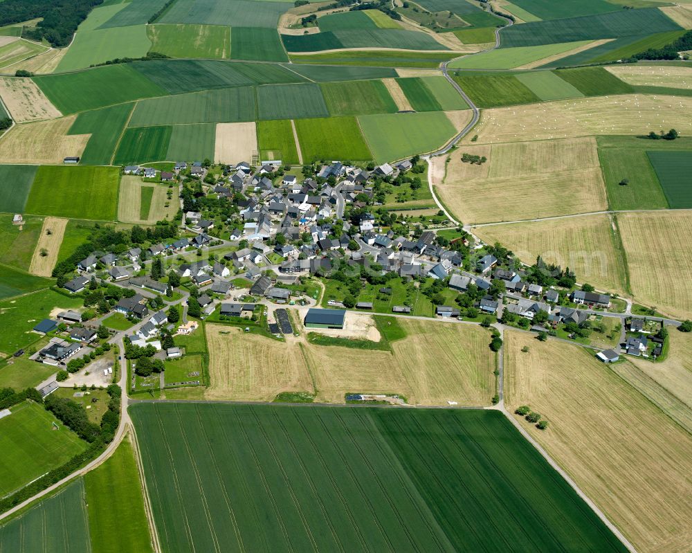 Aerial image Woppenroth - Agricultural land and field boundaries surround the settlement area of the village in Woppenroth in the state Rhineland-Palatinate, Germany