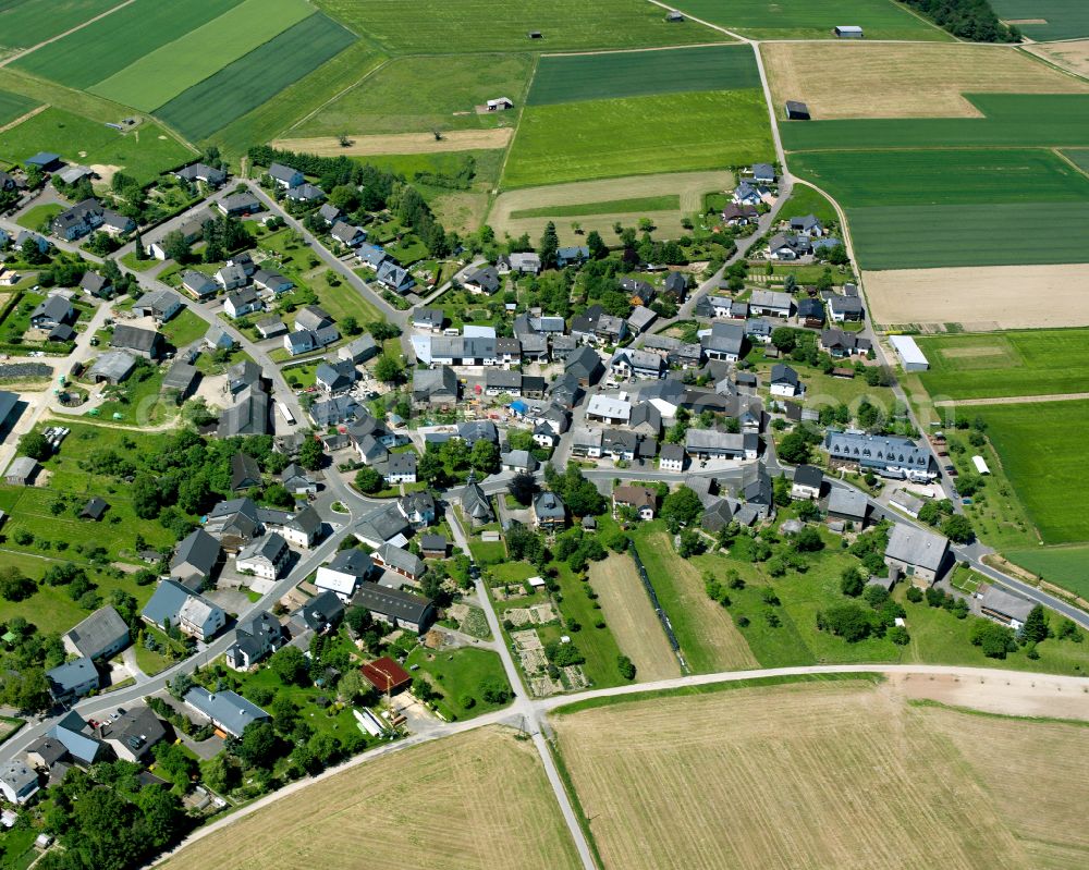 Aerial photograph Woppenroth - Agricultural land and field boundaries surround the settlement area of the village in Woppenroth in the state Rhineland-Palatinate, Germany