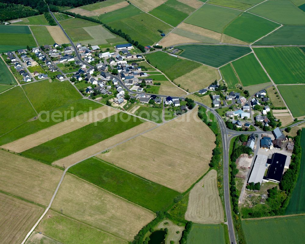 Aerial photograph Wüschheim - Agricultural land and field boundaries surround the settlement area of the village in Wüschheim in the state Rhineland-Palatinate, Germany