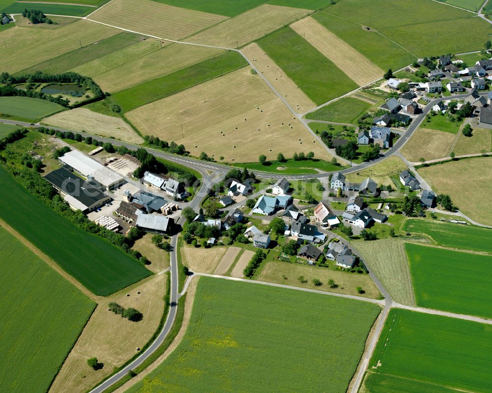 Aerial image Wüschheim - Agricultural land and field boundaries surround the settlement area of the village in Wüschheim in the state Rhineland-Palatinate, Germany