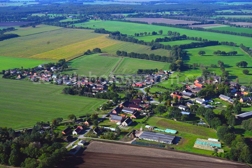 Aerial photograph Wulfsahl - Agricultural land and field boundaries surround the settlement area of the village in Wulfsahl in the state Mecklenburg - Western Pomerania, Germany