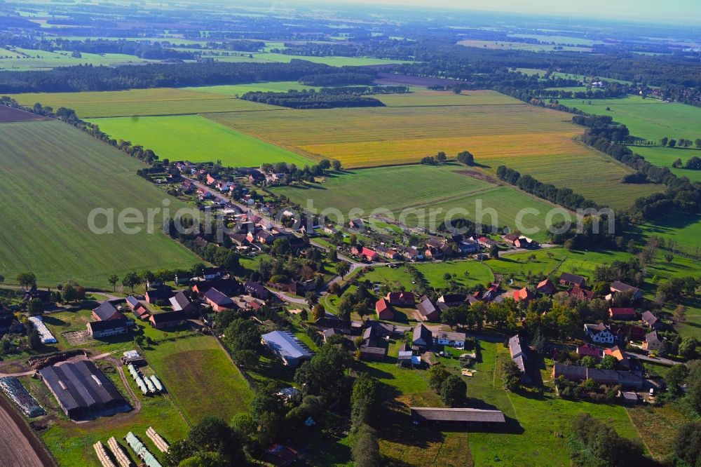 Wulfsahl from the bird's eye view: Agricultural land and field boundaries surround the settlement area of the village in Wulfsahl in the state Mecklenburg - Western Pomerania, Germany