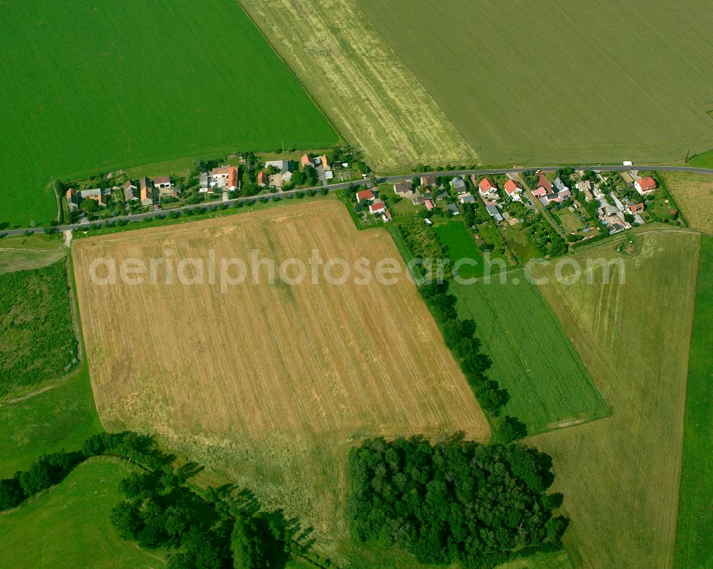 Zabeltitz from above - Agricultural land and field boundaries surround the settlement area of the village in Zabeltitz in the state Saxony, Germany