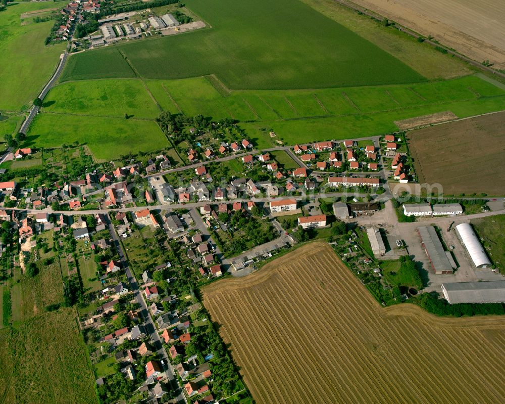 Zabeltitz from above - Agricultural land and field boundaries surround the settlement area of the village in Zabeltitz in the state Saxony, Germany