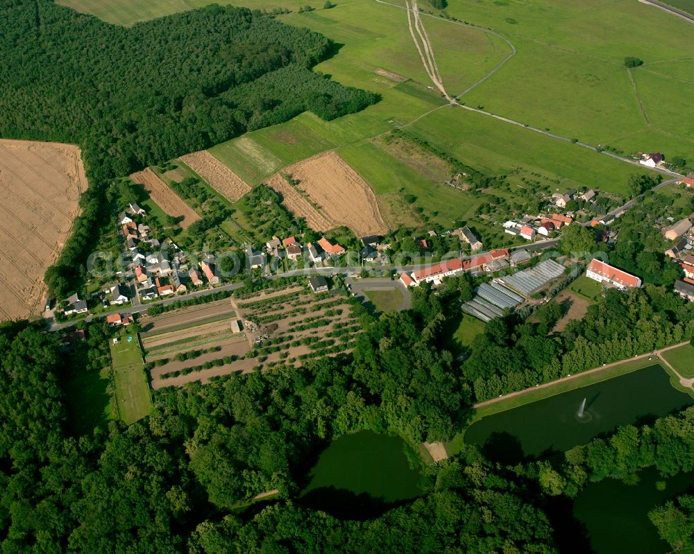 Aerial image Zabeltitz - Agricultural land and field boundaries surround the settlement area of the village in Zabeltitz in the state Saxony, Germany