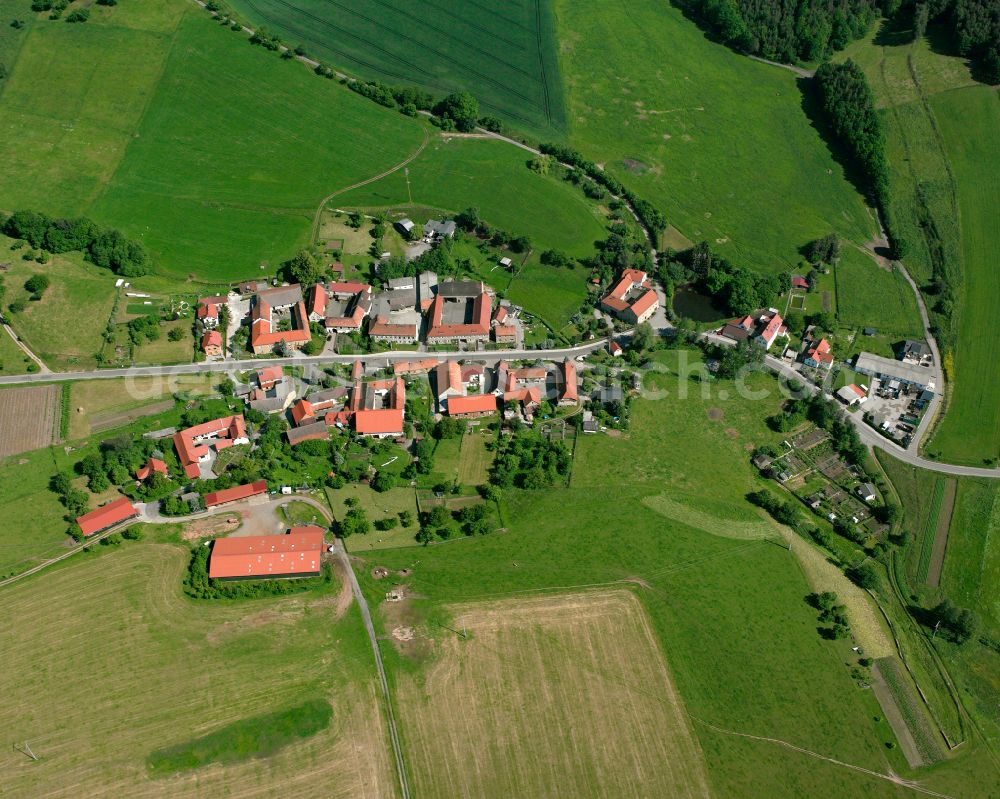 Zedlitz from above - Agricultural land and field boundaries surround the settlement area of the village in Zedlitz in the state Thuringia, Germany