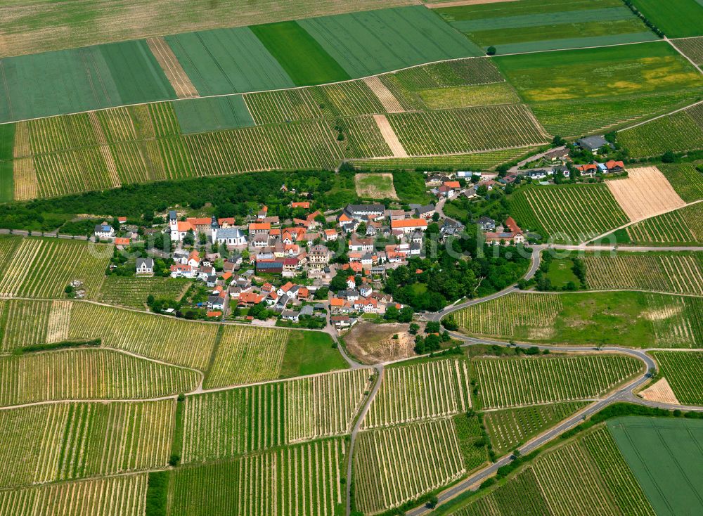 Zell from above - Agricultural land and field boundaries surround the settlement area of the village in Zell in the state Rhineland-Palatinate, Germany