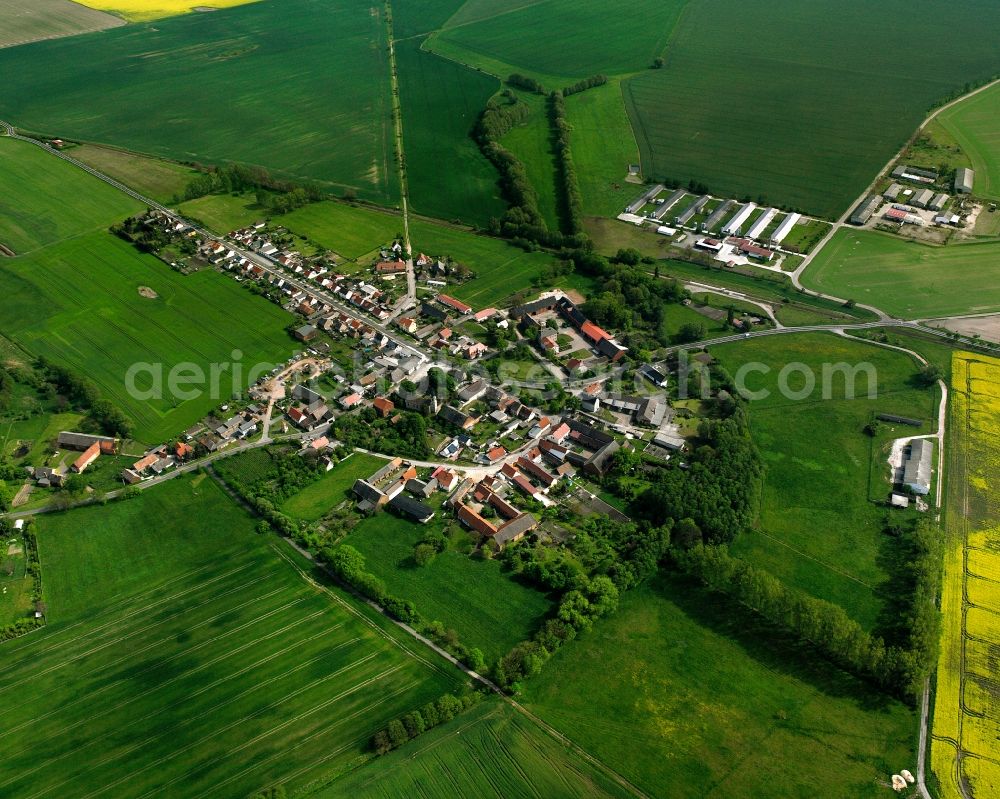 Zeppernick from above - Agricultural land and field boundaries surround the settlement area of the village in Zeppernick in the state Saxony-Anhalt, Germany