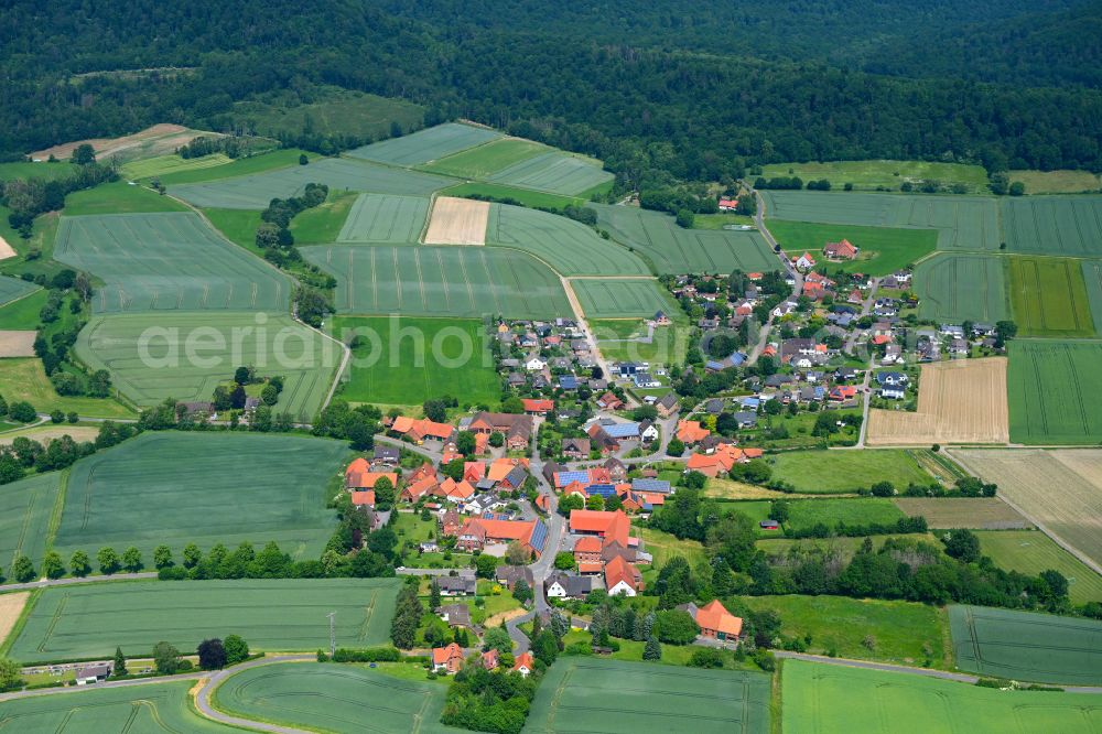 Zersen from above - Agricultural land and field boundaries surround the settlement area of the village in Zersen in the state Lower Saxony, Germany