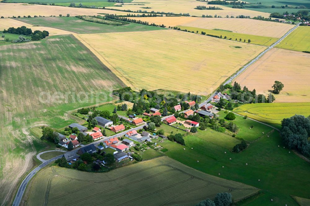 Zettemin from above - Agricultural land and field boundaries surround the settlement area of the village in Zettemin in the state Mecklenburg - Western Pomerania, Germany