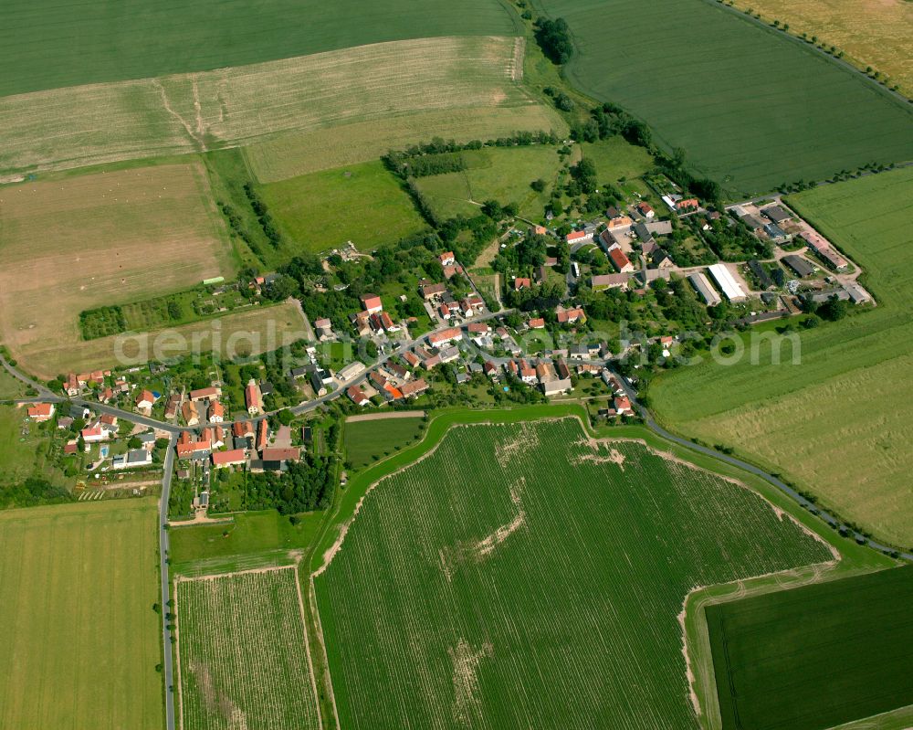 Aerial image Zottewitz - Agricultural land and field boundaries surround the settlement area of the village in Zottewitz in the state Saxony, Germany