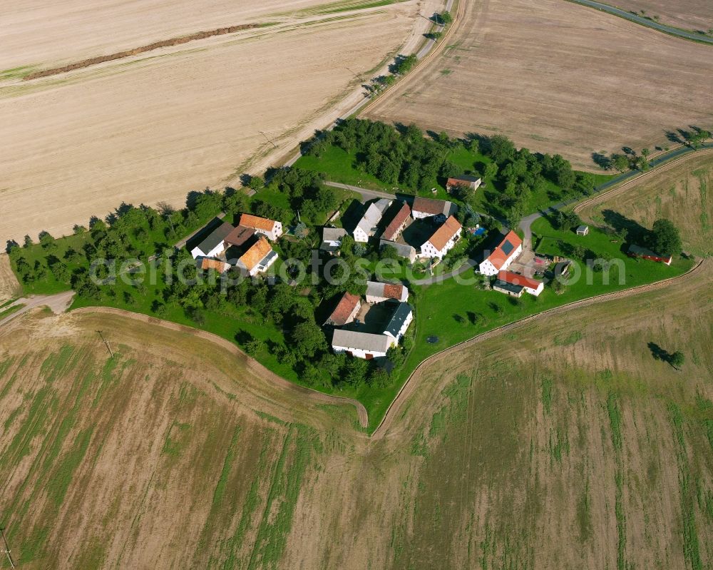 Aerial photograph Zschauitz - Agricultural land and field boundaries surround the settlement area of the village in Zschauitz in the state Saxony, Germany