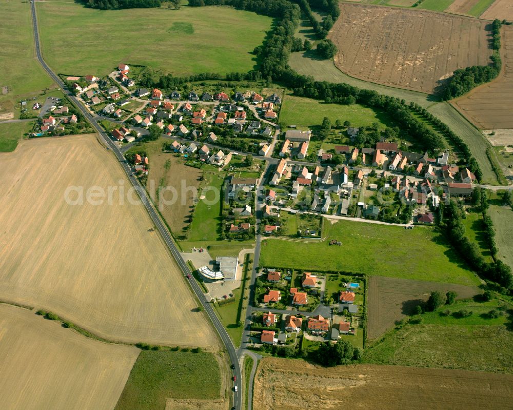 Zschauitz from the bird's eye view: Agricultural land and field boundaries surround the settlement area of the village in Zschauitz in the state Saxony, Germany