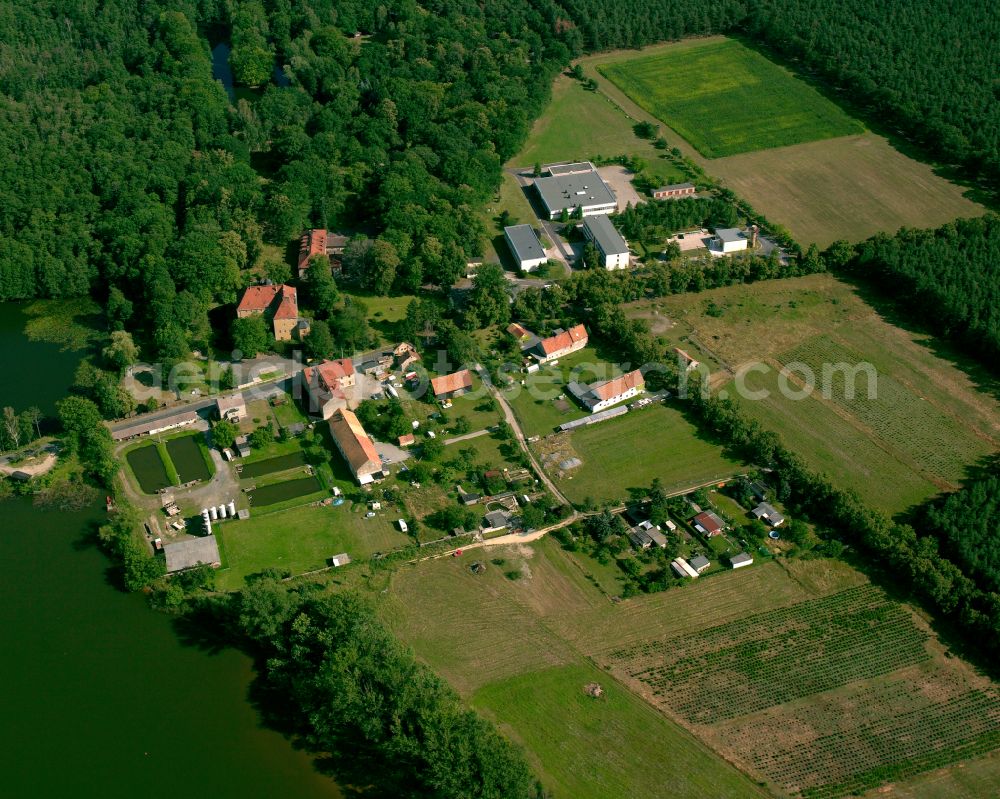 Aerial image Zschorna - Agricultural land and field boundaries surround the settlement area of the village in Zschorna in the state Saxony, Germany