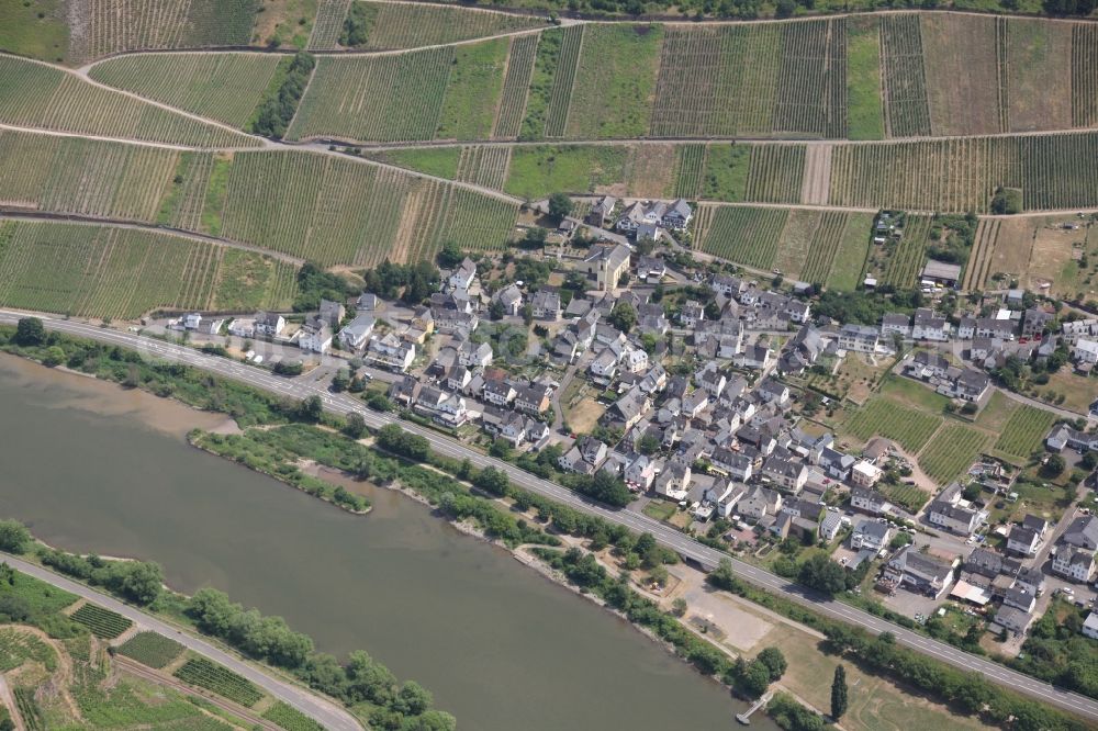 Burg(Mosel) from above - Village on the river bank areas of the river Mosel in Burg(Mosel) in the state Rhineland-Palatinate, Germany