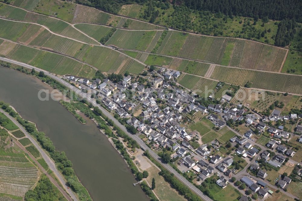 Burg(Mosel) from the bird's eye view: Village on the river bank areas of the river Mosel in Burg(Mosel) in the state Rhineland-Palatinate, Germany