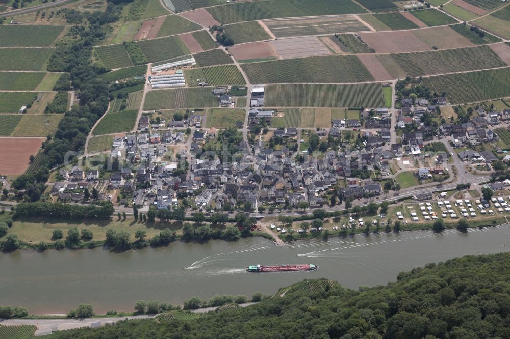 Erden from above - Village on the river bank areas of the river Mosel in Erden in the state Rhineland-Palatinate, Germany