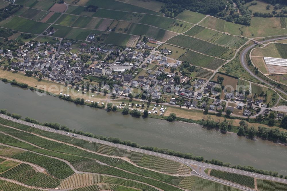 Aerial photograph Lösnich - Village on the river bank areas of the river Mosel in Loesnich in the state Rhineland-Palatinate, Germany