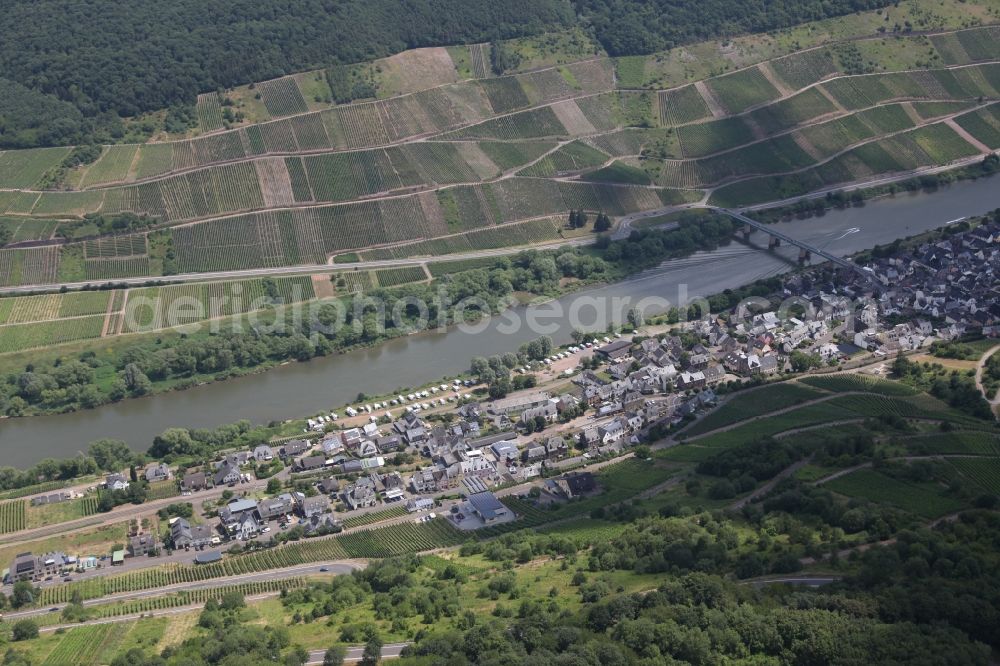 Aerial photograph Reil - Village on the river bank areas of the river Mosel in Reil in the state Rhineland-Palatinate, Germany