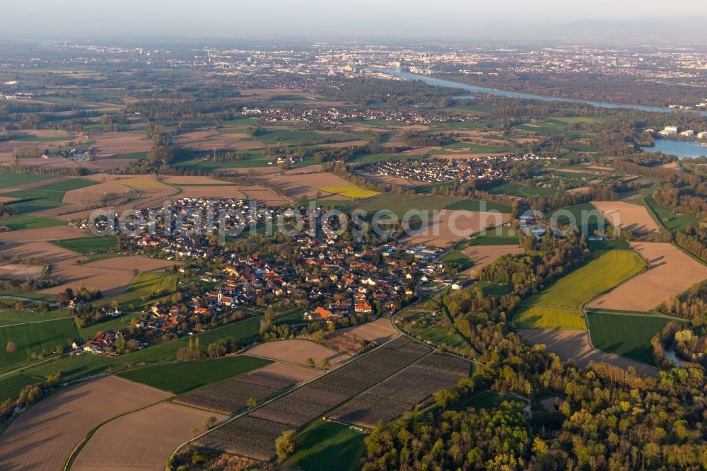 Aerial photograph Diersheim - Village on the river bank areas of the Rhine river in Diersheim in the state Baden-Wurttemberg, Germany