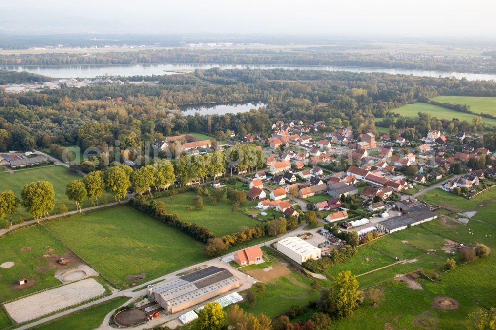 Fort-Louis from the bird's eye view: Village on the river bank areas of the Rhine river in Fort-Louis in Grand Est, France