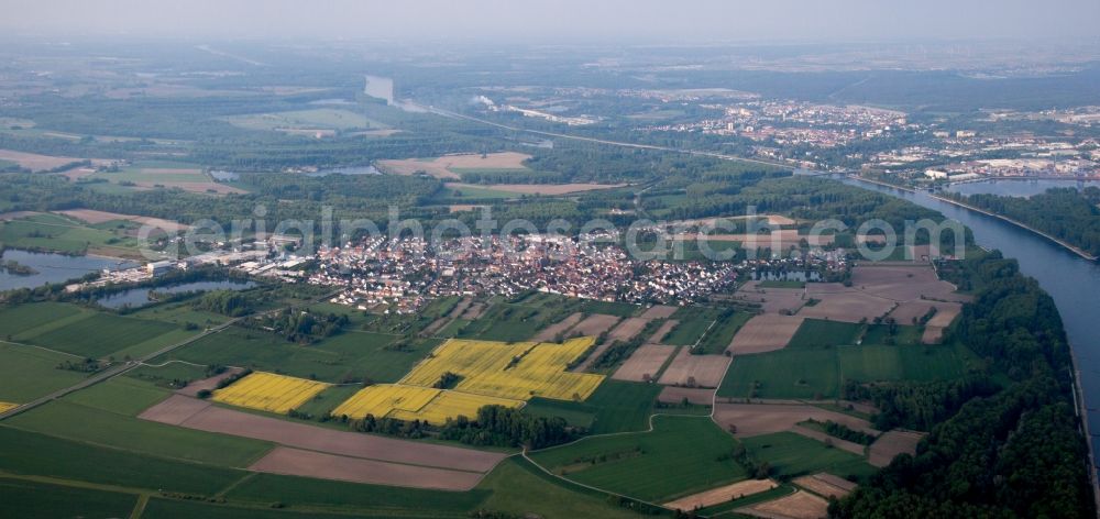 Aerial image Philippsburg - Village on the river bank areas of the Rhine river in the district Rheinsheim in Philippsburg in the state Baden-Wuerttemberg, Germany