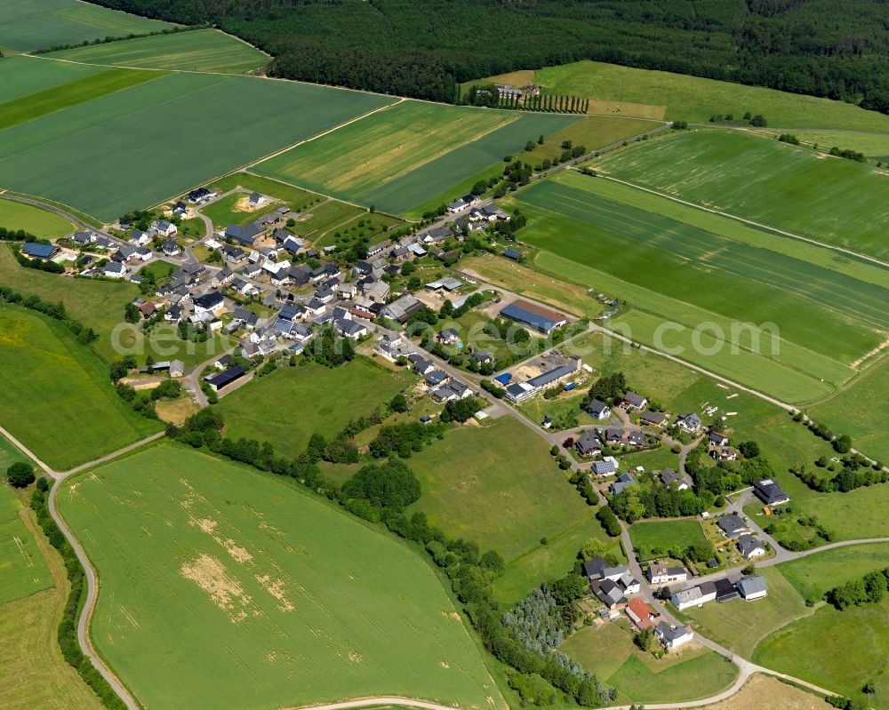 Aerial photograph Fronhofen - Village core in Fronhofen in the state Rhineland-Palatinate