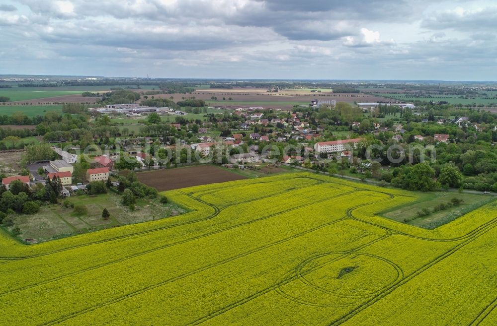 Aerial photograph Golzow - Agricultural land and field borders surround the settlement area of the village in Golzow in the state Brandenburg, Germany