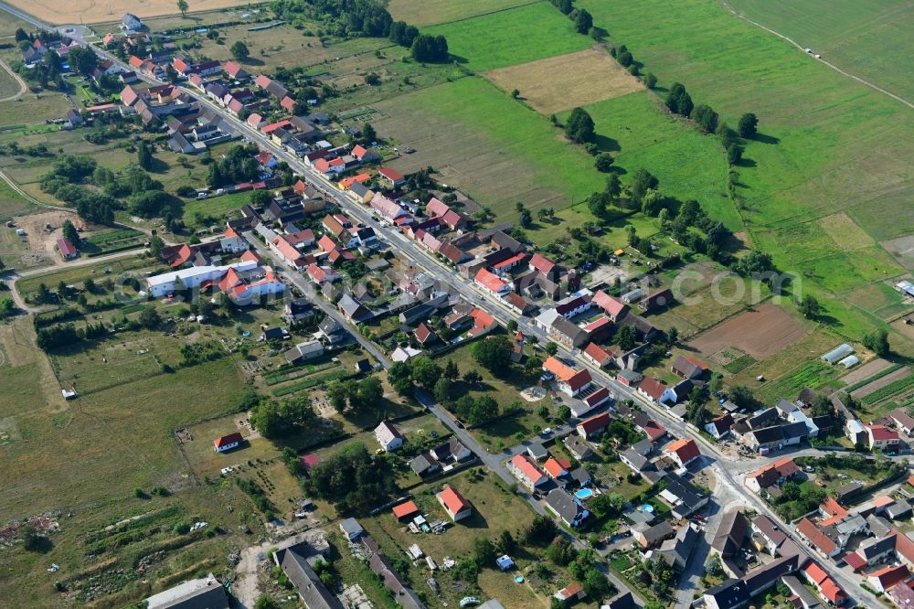 Groß Briesen from the bird's eye view: Agricultural land and field borders surround the settlement area of the village in Gross Briesen in the state Brandenburg, Germany