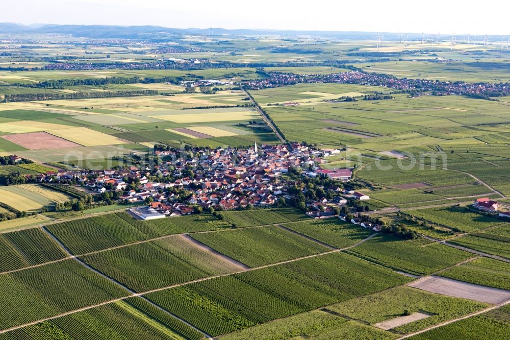 Gundheim from the bird's eye view: Agricultural land and field borders surround the settlement area of the village in Gundheim in the state Rhineland-Palatinate, Germany