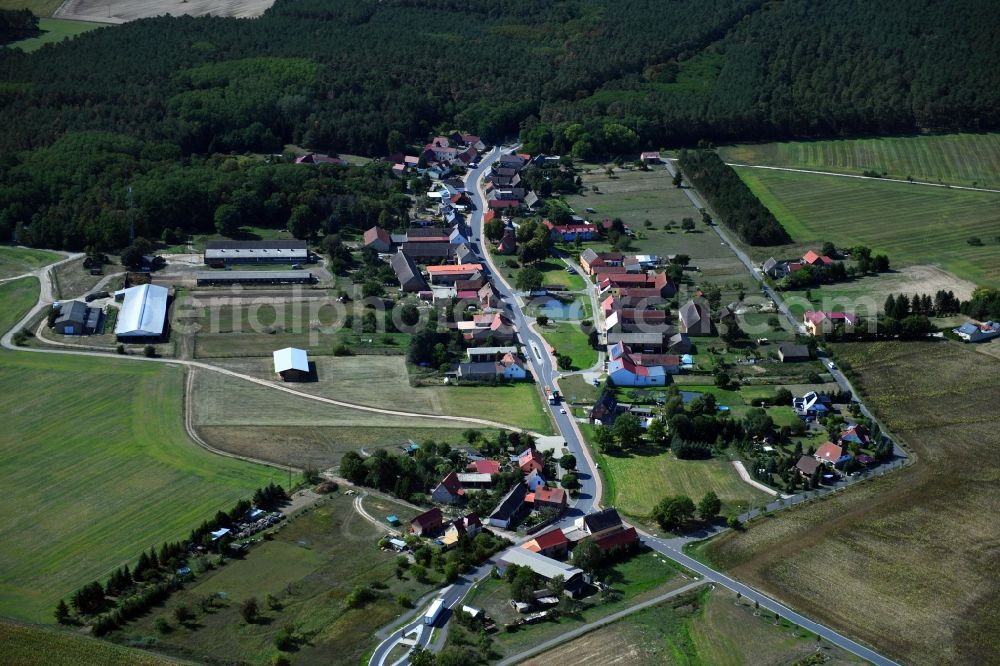 Haseloff from the bird's eye view: Agricultural land and field borders surround the settlement area of the village in Haseloff in the state Brandenburg, Germany