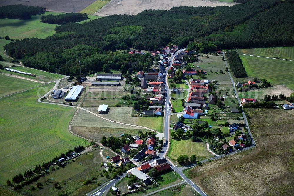 Aerial image Haseloff - Agricultural land and field borders surround the settlement area of the village in Haseloff in the state Brandenburg, Germany