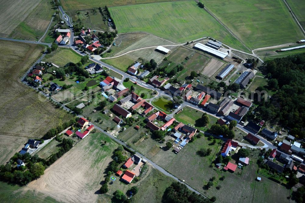 Aerial image Haseloff - Agricultural land and field borders surround the settlement area of the village in Haseloff in the state Brandenburg, Germany