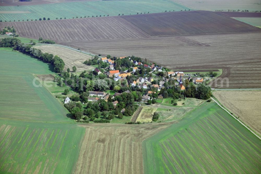 Kistritz from the bird's eye view: Agricultural land and field borders surround the settlement area of the village in Kistritz in the state Saxony-Anhalt, Germany