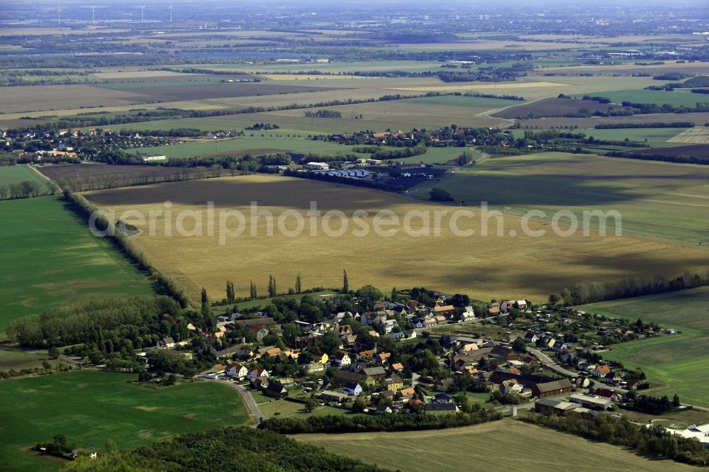 Aerial photograph Kölsa - Agricultural land and field borders surround the settlement area of the village in Koelsa in the state Saxony, Germany