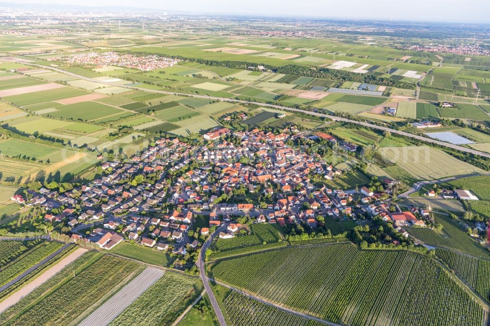 Aerial photograph Laumersheim - Agricultural land and field borders surround the settlement area of the village in Laumersheim in the state Rhineland-Palatinate, Germany