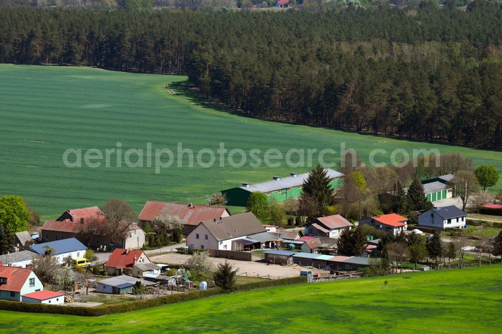 Aerial image Lindenhof - Agricultural land and field borders surround the settlement area of the village in Lindenhof in the state Brandenburg, Germany