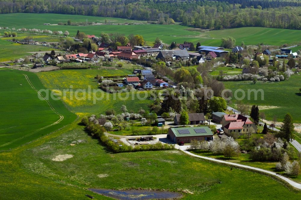 Aerial photograph Lüttenhagen - Agricultural land and field borders surround the settlement area of the village in Luettenhagen in the state Mecklenburg - Western Pomerania, Germany